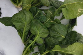 【玄米4ｋ+野菜セット】 品種に優る技術なし、玄米、精米も対応（肥料農薬不使用、自家採種、おだ掛け）　晩生種のあじわい、