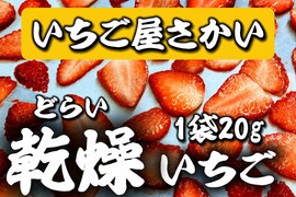 分厚っ！無添加『乾燥イチゴ』20g