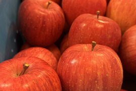サンふじ りんご おすすめ！贈答可能 長野県 飯綱町産 りんご サンふじ 特価！  5キロ箱 12玉