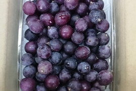 🍇ジャムジュース加工用巨峰粒🉐🍇
🟨🟥訳アリ巨峰粒大パック🟥🟨
【粒/ご家庭用/大パック入約2,000㌘】