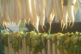 たくあん用干し大根20本