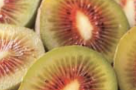 激レア品種キウイ大玉【防腐剤・農薬・化学肥料不使用】レインボーレッド2.0kg(25個前後)驚きの甘さ‼️追熟後の糖度約20度‼️果肉柔らか天然のゼリー🥝B品のおまけ付き😋