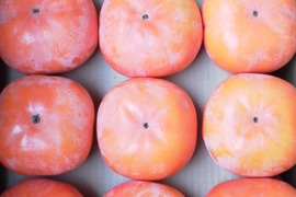 サクッとカリカリの食感　糖度18度以上　次郎柿  2.7キロ入り