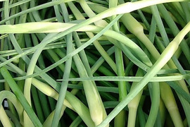 【本日限定】にんにくの芽　1ｋｇ