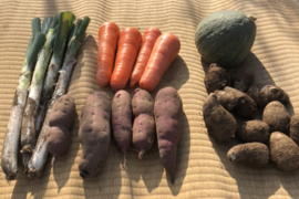 保存野菜5kgセット(かぼちゃ1kg+里芋1kg+人参1kg+サツマイモ1kg +ネギ1kg)※農薬化学肥料不使用