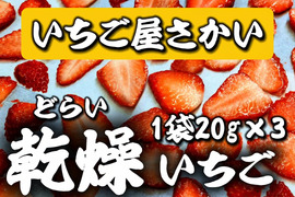 【数量限定】新作『乾燥イチゴ』20g×3袋