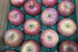 超大玉葉取らず樹上完熟サンふじ5k12-14家庭用訳あり　りんご　蜜入もあり！