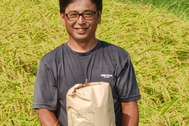 令和7年産新米　農薬5割減　特別栽培米コシヒカリ白米５kg　化学肥料不使用