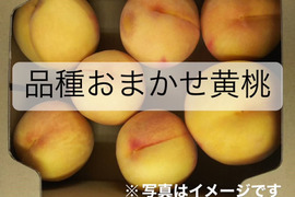 【品種おまかせ黄桃】2㎏　 訳あり家庭用　9～10月