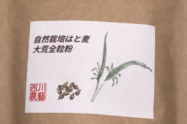 自然栽培はと麦大荒全粒粉 【はと麦エッセンスの抽出に!】