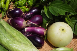 【自然によりそう野菜セット】自然農の畑から、不耕起草生　草とともに台地の畑で２6年の積み重ね、種とり、農薬肥料不使用）