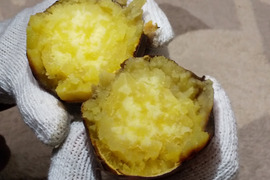wakanaさま用【栗かぐや🍠9キロ☆栗のような甘味＆ホクホク食感】サイズ混載    土つき