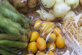 【野菜たち】自然農の畑から、不耕起草生　草とともに台地の畑で２6年の積み重ね、種とり、農薬肥料不使用）