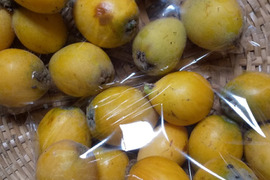 【ビワスペシャル】　耕さない台地から、草々と生き物と25年の畑
【耕さない畑で気候変動に対応】

プラスチックマルチフリー