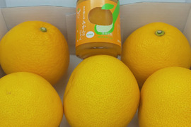 大和八朔2L5個おまけ  みかんジャム付き、丁寧にコトコトたいてます！