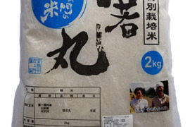 【新米】令和5年産　特別栽培米雪若丸精白米2kg