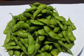 令和８年９月上旬発送❗本場白山産　だだちゃ豆(尾浦)1.5㎏