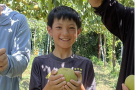 夏到来！ 梨で水分チャージ！ 幸水3キロ 7~9個入り大玉