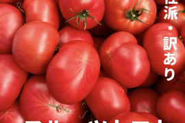 ［予約販売］むぎゅっとがっしり！！個性派！濃旨フルーツトマト（箱入り・約1kg)