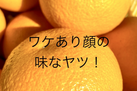 訳あり顔の味なヤツ！和歌山八朔　L&2L中心に3L~M混載 約10kg