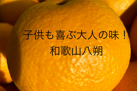 子供も喜ぶ大人の味！和歌山八朔　L&2L中心に3L~M混載 約10kg