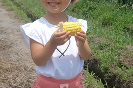 安西農園の生食出来る味来アウトレット