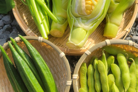 【旬の上州野菜　夏！】お試しサイズ（3~5品目）梱包まで丁寧に 　※とうもろこし・赤玉ねぎは現在売切れです。