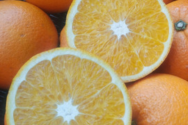 香り豊かな島育ちの南国味！ネーブルオレンジ-カットフルーツ( 8kg)