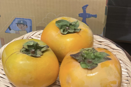 手軽に楽しむ！甘くてジューシー！まーくん家のたねなし柿5キロ箱　農家直送♪