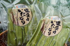 【冷凍】シャキシャキ山菜　高知県産 塩漬けイタドリ（250g×２袋）