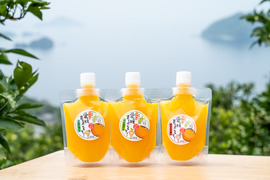 【お試し】みかんそのものの味をギュッと！愛媛まるごと飲むゼリー(3種3個入)