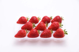 【冬の贈り物】甘味果汁じゅわぁっ！稀少ないちご「あまえくぼ」6〜15玉入り（ゆりかーご輸送）