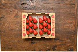 【大粒いちご】古都華 3Lサイズ1箱(280g×2p)