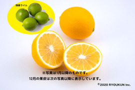 ドリンク&料理に！国産マイヤーレモン＋ライム５個(3kg）
