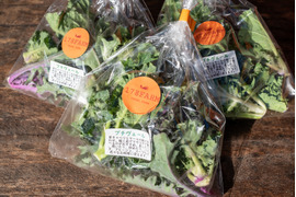 冬の恵 「プチヴェール」2〜3種ミックス80g×5袋