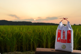 大分県のお米で産地直送の商品｜食べチョク｜産地直送(産直)お