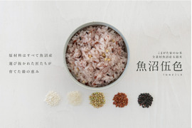 【R7年産】全素材魚沼産五穀米「魚沼伍色-うおぬまごしき-」300g×10個真空パックセット　無洗米