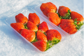 【日時指定可、最短翌日出荷】朝採れ新鮮！酸味の少ないイチゴ🍓（200g×2パック）【朝市限定】