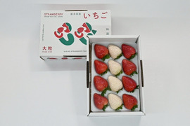 紅白いちご（とちあいか＆ミルキーベリー）
