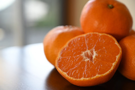 三ヶ日青島みかん 大玉・ご家庭用10kg