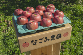 りんごの王様！！　サンふじ家庭用　10ｋｇ