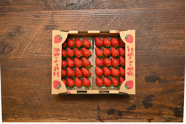 【たっぷり満足】古都華Mサイズ1箱(270g×2p)