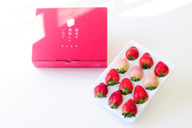 「栃木のいちご4種入り！」厳選！1パック9～15粒【ゆりかーご】450g以上