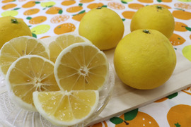 小夏　ご家庭用2㎏