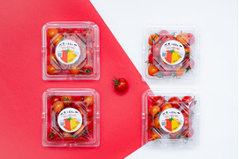 【お試し食べ比べ♪】オレンジが旨い？！フルーツトマト「ポモロッサ」（4パック＋おまけ2つ付）