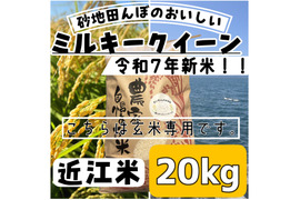 【令和7年新米】【玄米】 『ミルキークイーン20kg』冷めてもおいしい！圧倒的なもっちり感と強い甘みが特徴！おにぎりやお弁当にも最適！