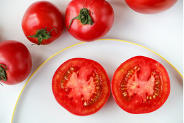 【自然栽培】大好評中玉トマト🍅✨M（1.5㎏）