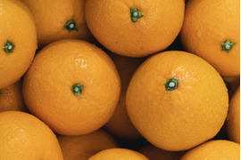 【ぷるあま果肉と濃厚果汁】清見【家庭用 5kg】（清見タンゴール、清見オレンジ）