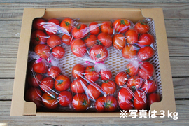 【お買い得3kg】アルテトマトなかま☆コクと旨味をギュっと濃縮！高糖度トマト