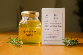 【大容量】花香る!西洋蜜蜂の生ハチミツ『春搾り500』500ml